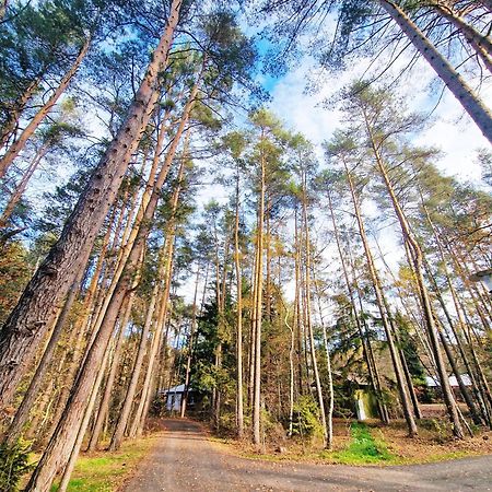Bungalow Direkt Am See, Mit Eigenem Boot Родинг Екстериор снимка